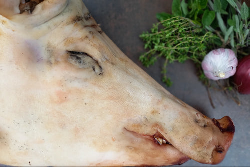 Grisehoved, Økologisk