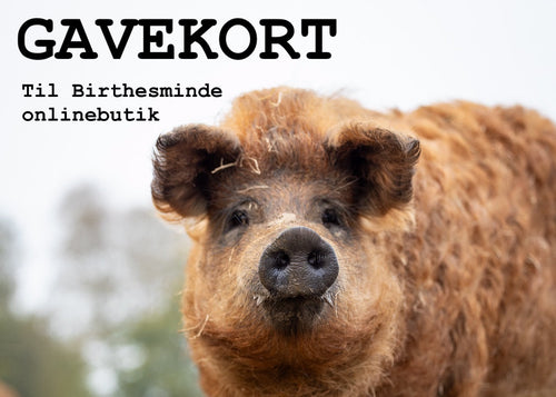 Gavekort til Birthesmindes onlinebutik